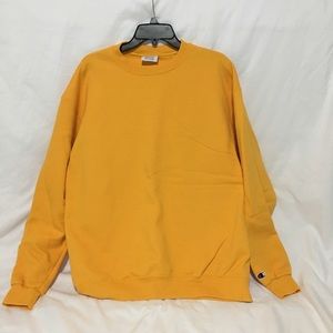 Champion sweatshirt